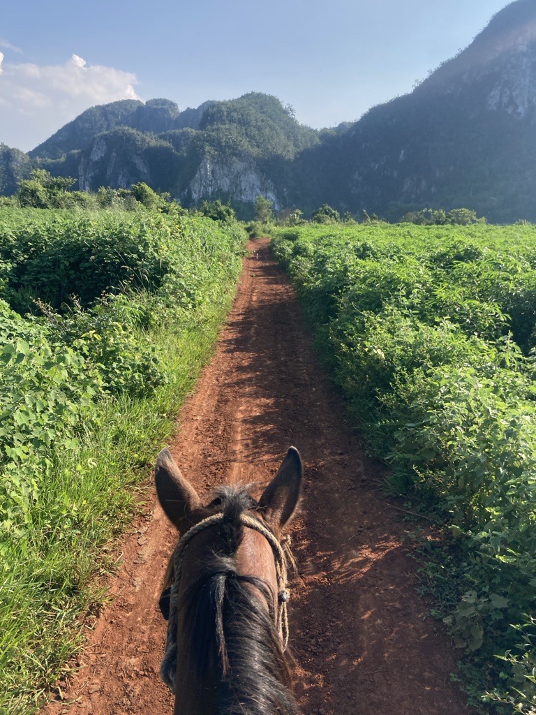 Pinar del Rio – Viñales
